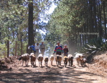 In the Sierra Norte